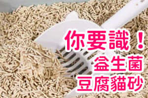 益生菌豆腐貓砂的益處及對寵物健康的影響