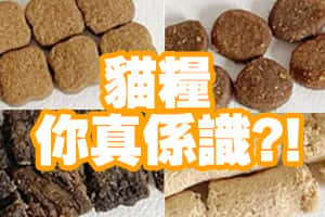 三種常見貓糧製程解析，新手選糧不用煩