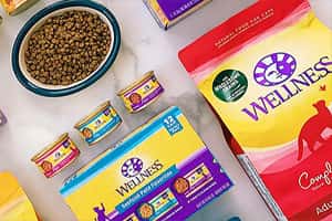 Wellness Core 貓糧推薦：為何它是貓咪健康飲食的熱門選擇？