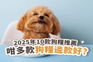 【狗糧推薦 2025】10款熱賣品牌狗乾糧推薦及選購狗糧注意重點！