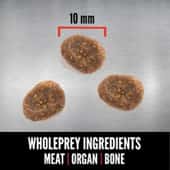 Orijen貓糧-orijen cat food-orijen 幼貓糧-PetChill寵物用品店