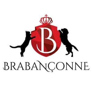 Brabanconne 爸媽寵
