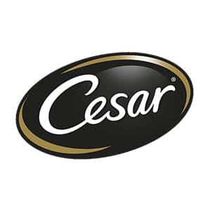Cesar 西莎