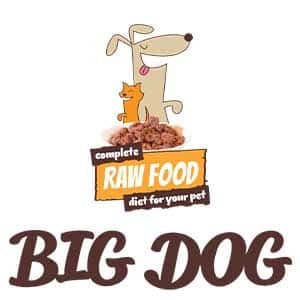 Big Dog