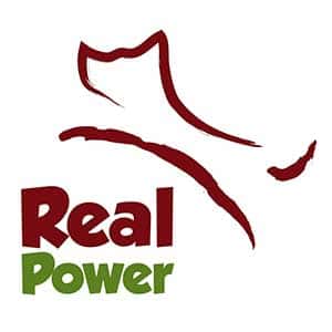 Real Power