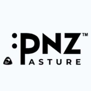 PNZ