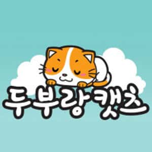 豆腐與貓