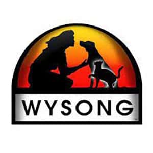 Wysong 威森