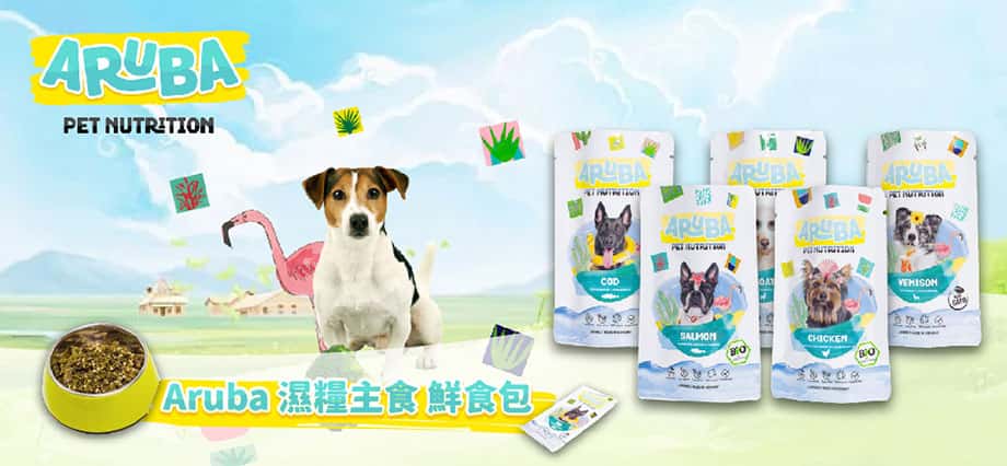 aruba 狗狗濕糧 - aruba 濕糧 - aruba dog狗濕糧 - PetChill 寵物用品店